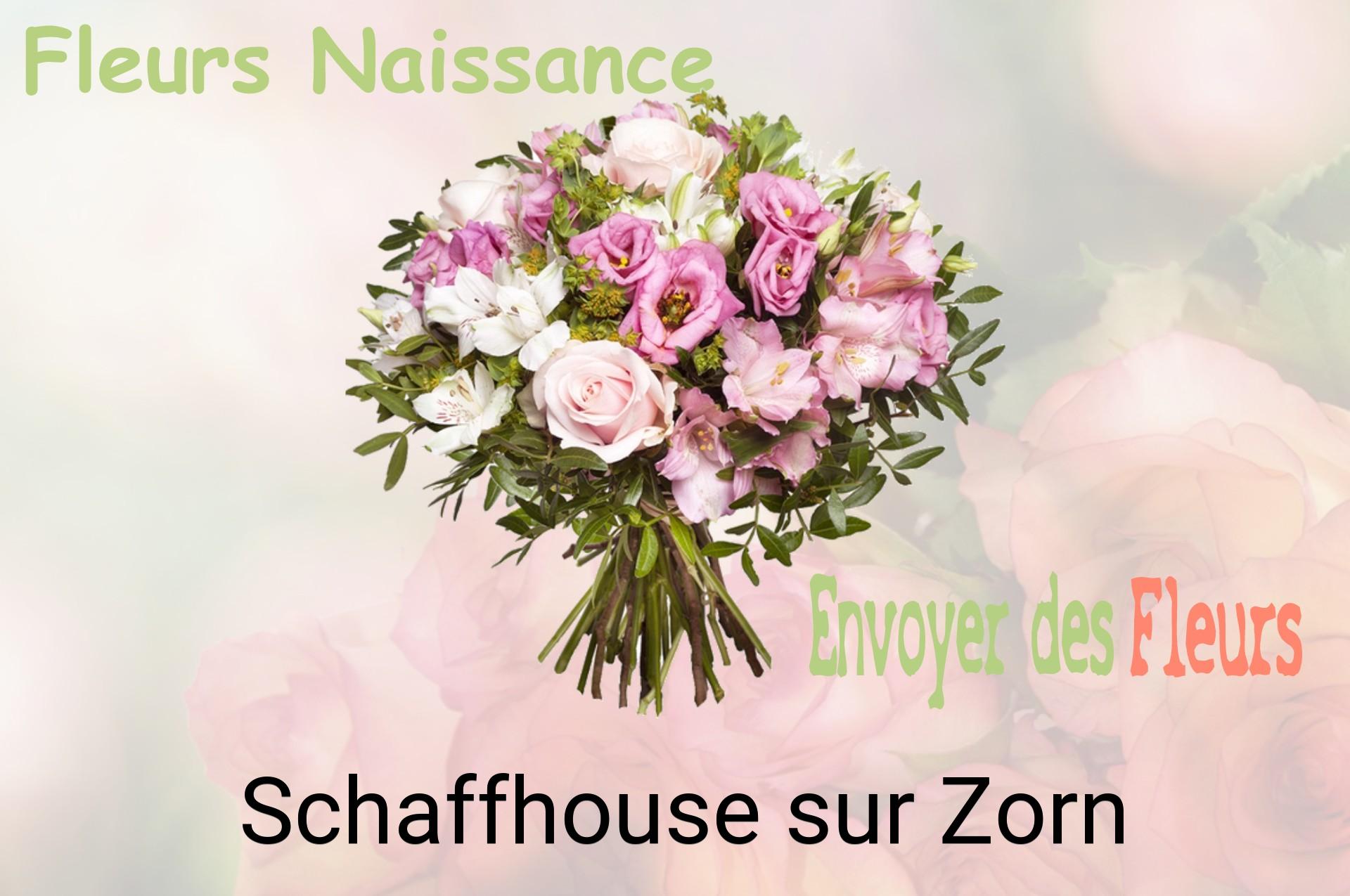 Bouquet de fleurs de naissance livré à Schaffhouse-sur-Zorn