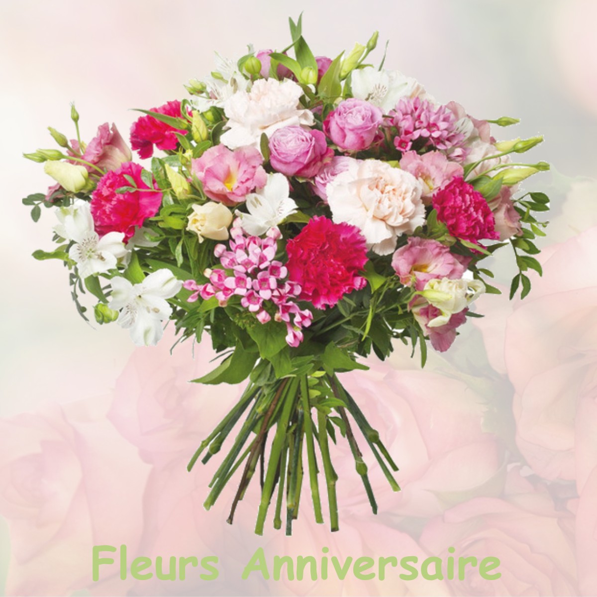 fleurs anniversaire SCHAFFHOUSE-SUR-ZORN